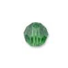 Fern Green